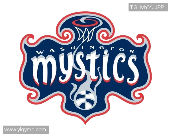 华盛顿神秘人对决芝加哥球队的精彩较量与背后故事揭秘